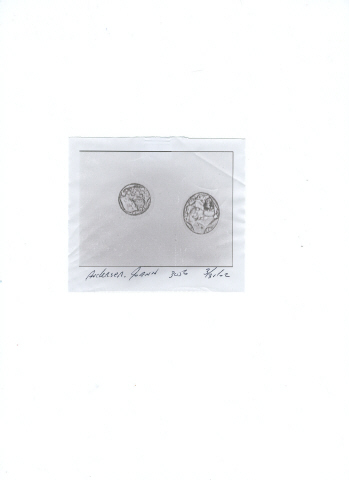 embryos.jpg